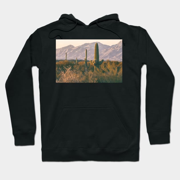 Head of the Pack Hoodie by jvnimages